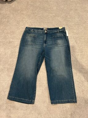 NWT KUT from the Kloth high rise meg wide leg size 24W